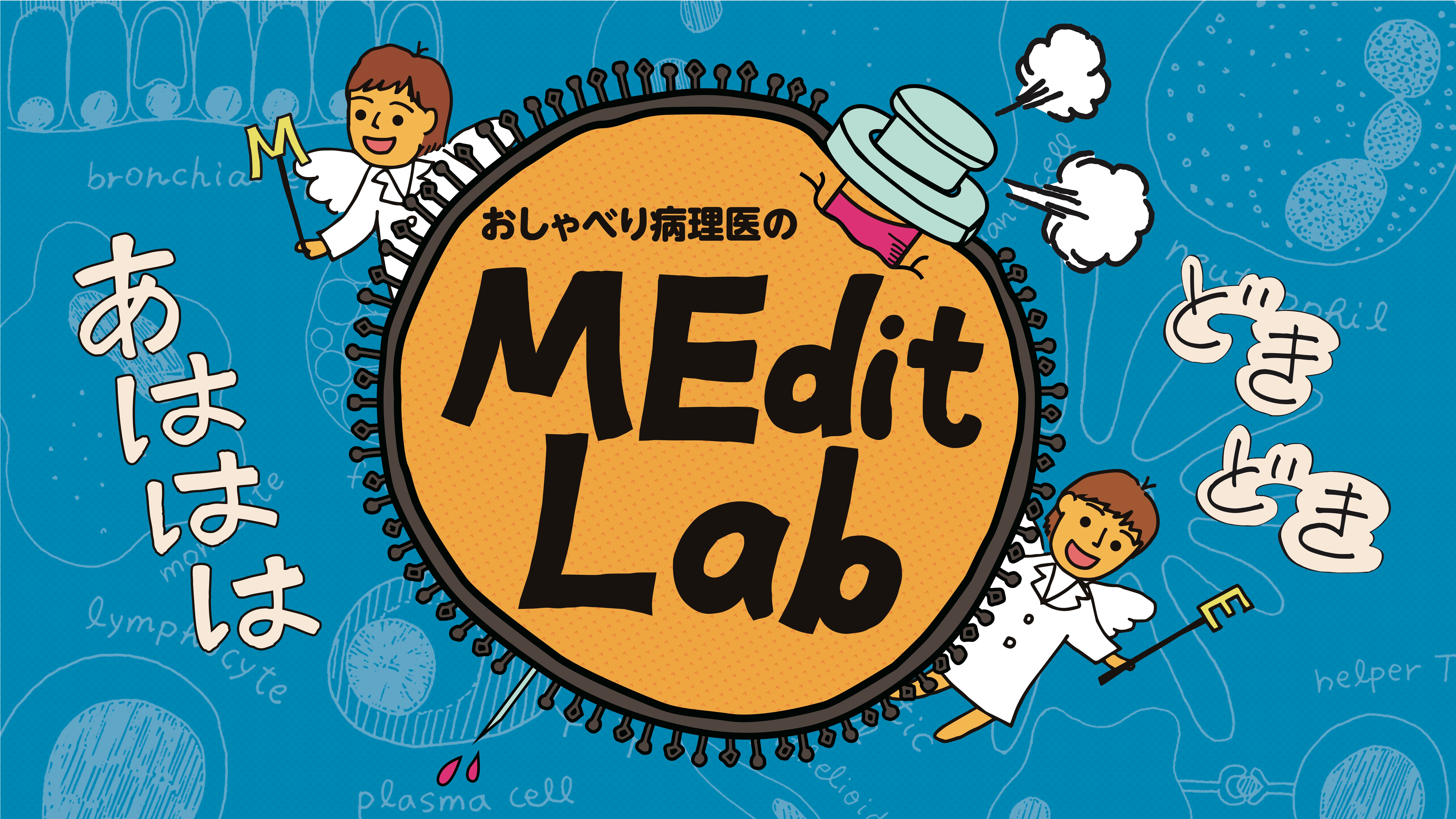 MEdit Lab title